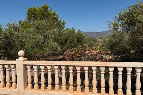 Villa i Salinas, Alicante, Salinas - € 595.000 | Ref: SalinasStunning - foto 22